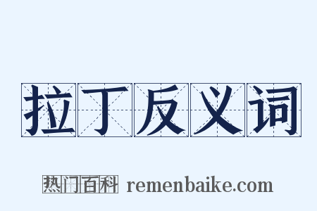拉丁反义词是什么意思的图片